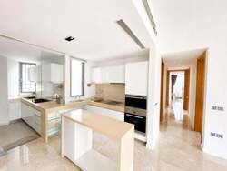 Madison Residences (D10), Condominium #602235951